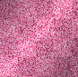 BG || Pink ||