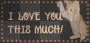 I love you this much