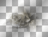 VINTAGE GOTH DECO TRANSPARENT BLACK WHITE ROSES