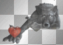 Loup