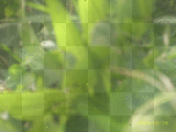 Hintergrund