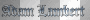 adam lambert name word
