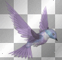 deco bird