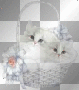 Katzen im Korb