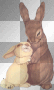 lapin