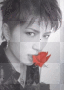 Gackt-rose