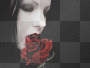 † VAMPIR †