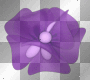 fleurs violet -c