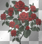 red roses motherday +++ blinker1968+++ red roses motherday +++ blinker1968+++
