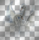 deco    ©dK