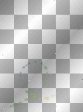 Animated Multi Colored Butterfly