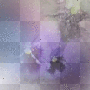 pansy background