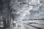 background 08 papermoon666 