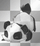 Panda!
