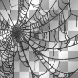 spider's web