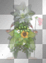 Deco