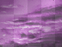 purple sky bkgrd