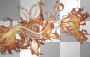 FIRE FLOWER ©dK