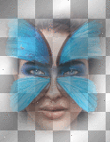 butterfly female ©dK
