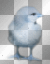 WIELKANOC EASTER TRANSPARENT CHICK 