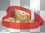 Teddy