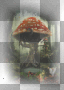 Fantasy mushroom background Fantasy mushroom background