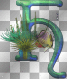 Sea alphabet H