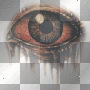 mejserr eye mejserr eye