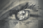 ..Eyes..