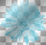 blue flower