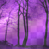 ©Background Animated©FI