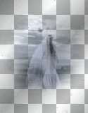 Run Away Bride
