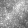 TAPETY BACKGROUND ANIMATED BG SPARKLE