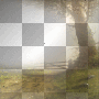WIOSNA SPRING TRANSPARENT GRASS BACKGROUND WIOSNA SPRING TRANSPARENT GRASS BACKGROUND