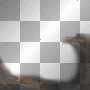 mejserr frame / background