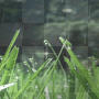 ○•Animated Rainy Day Background○• ○•Animated Rainy Day Background○•