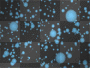 Background- Animated Blue Dots