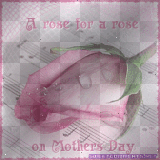 Pink Rose- Happy Mothers Day