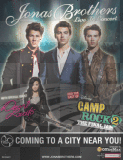 **Jonas Brothers : Tour 2010