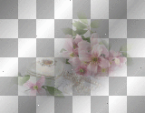 fond fleurs transparent -c