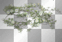  SPRING SUMMER TRANSPARENT GREEN TREE FLOWER WHITE YELLOW