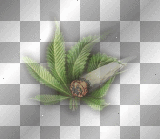 Weed
