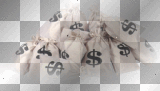 Money bags 