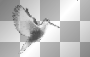WIOSNA SPRING SUMMER animated bird white