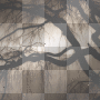 Tree Tree