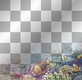 Sea border