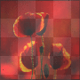 JOLIS COQUELICOTS