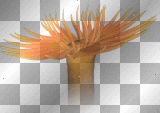Sea deco