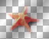 Starfish