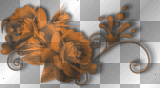 orange flowers ©dK